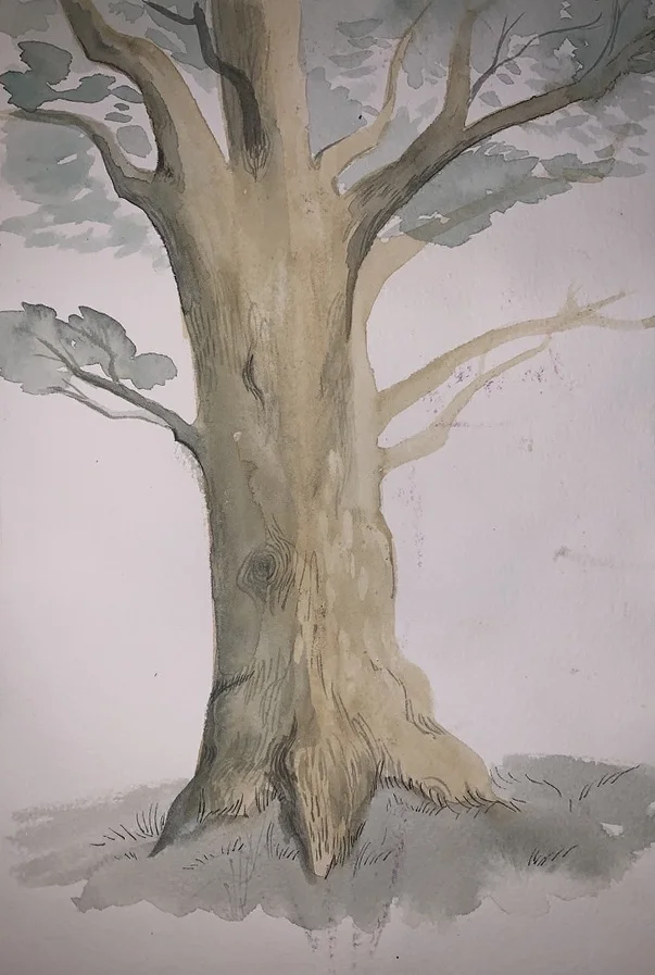 Watercolor tree study. Original artwork by Giovanna Dasso.
