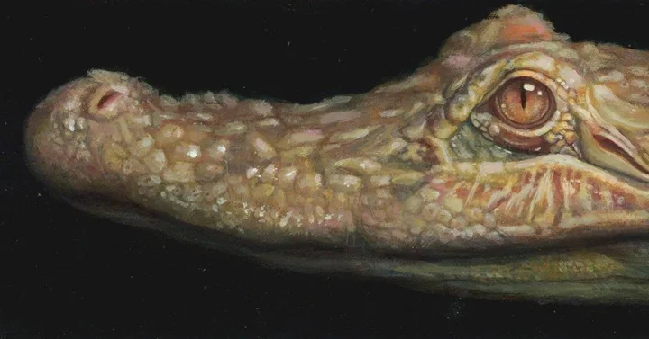 Painting of a pale crocodile's head in profile with bumpy scales and an amber eye against a black background.
