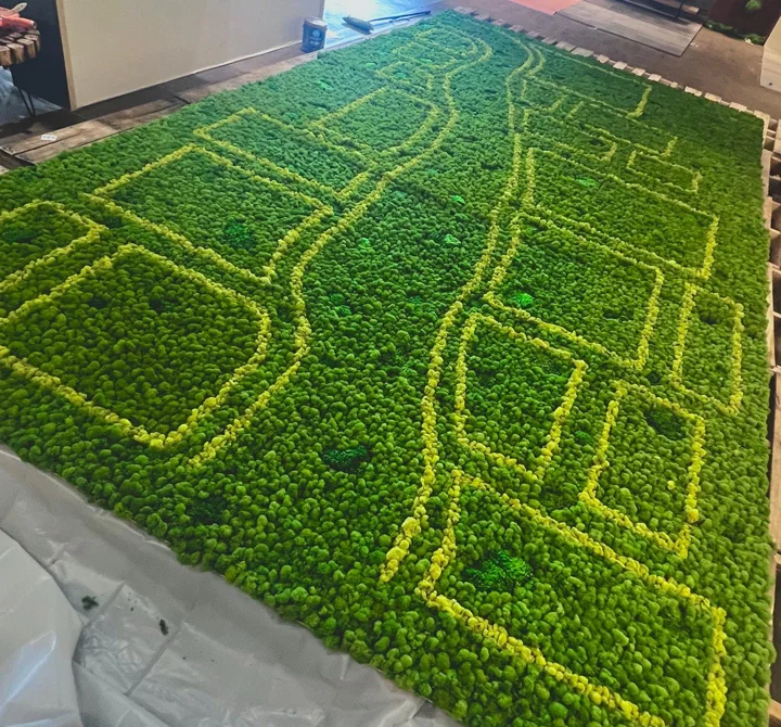 Photo of a large rectangular moss panel laid flat, with lighter green moss lines tracing a street-map pattern.