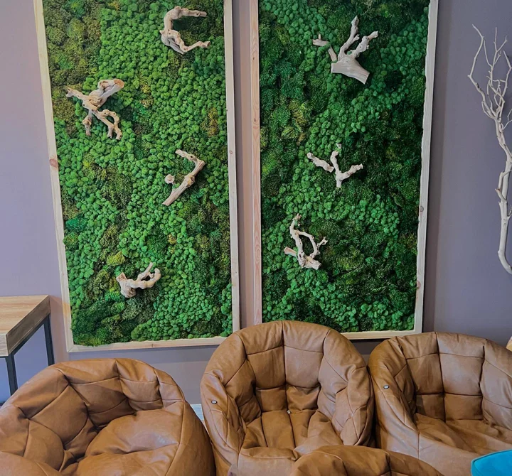 Photo of two tall framed moss wall panels accented with driftwood pieces, above three tan leather chairs.