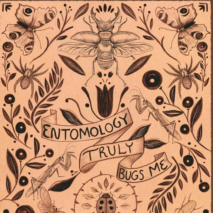 Ink drawing on peach paper of beetles, moths, spiders, and mantises among folk-style plants around a lettered banner.