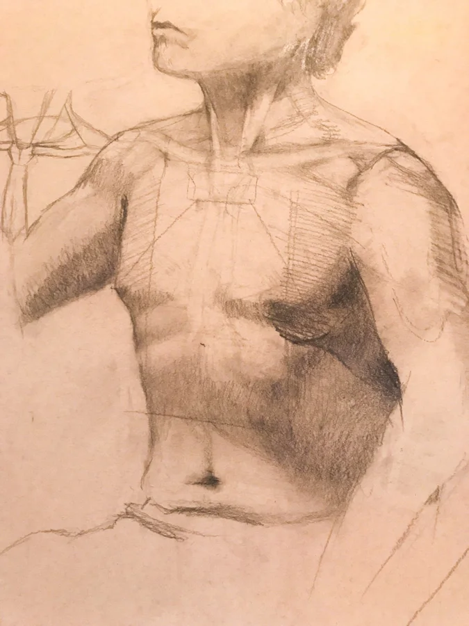 Pencil anatomy study of a muscular male torso with construction lines on warm toned paper.