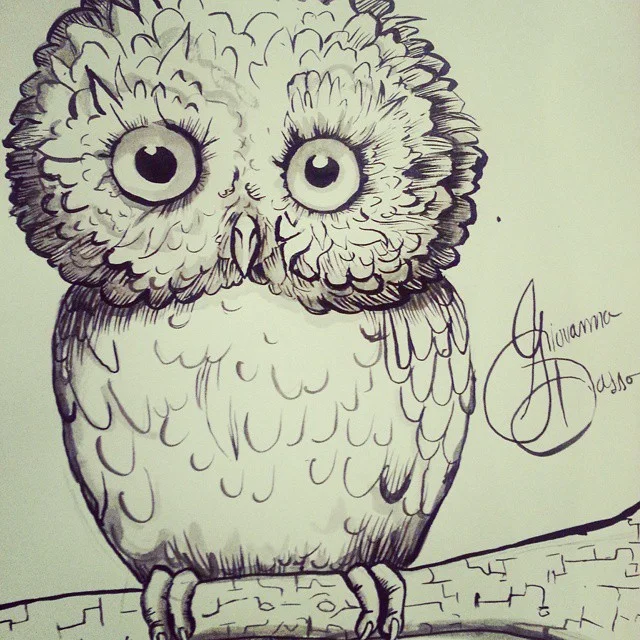Ink drawing of a fluffy, wide-eyed owl perched on a textured branch.